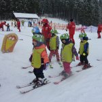 phoca_thumb_m_lye 1.2.  33 Fotogalerie